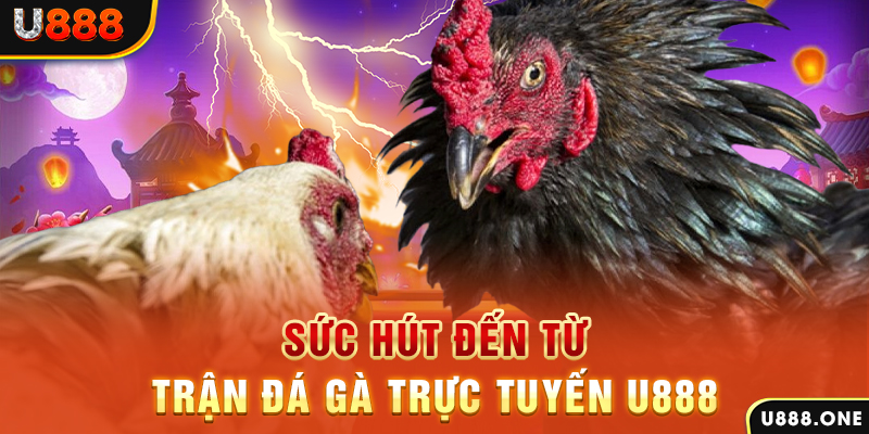 79win đá gà trực tiếp c1