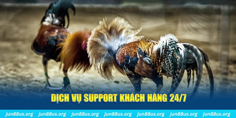 79win ÁT CHỦ BÀI GIÀNH LẤY ZHUANG NIUNIU ( XEM 4 LÁ )