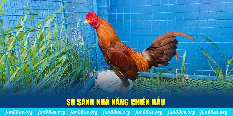 79win CQ9 Điện Tử