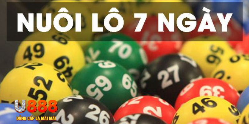 79win what are slot machines