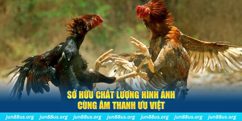 79win PP Điện Tử