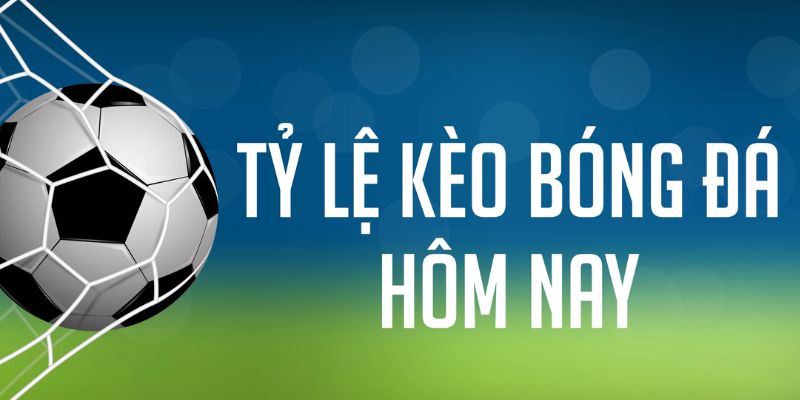 79win gà chọi c1 mới nhất