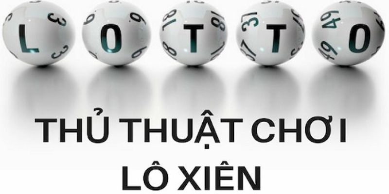 79win trực tiếp đá gà thomo