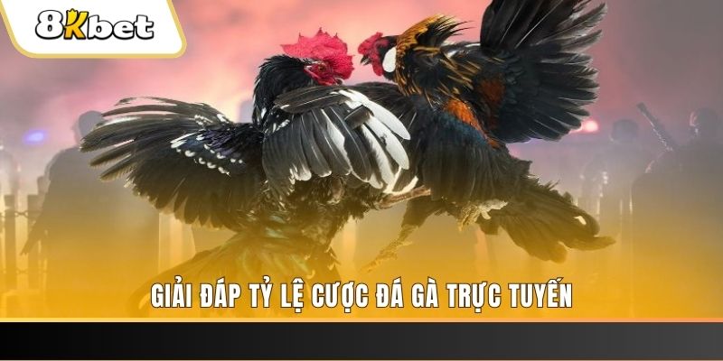 79win xổ số đài miền trung