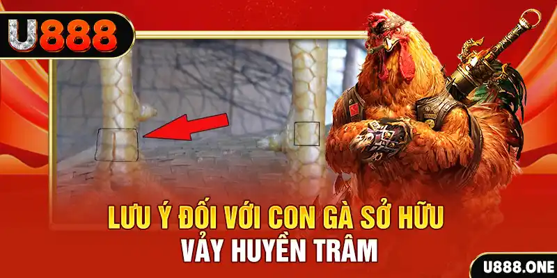 79win kết quả xổ số miền nam hôm nay