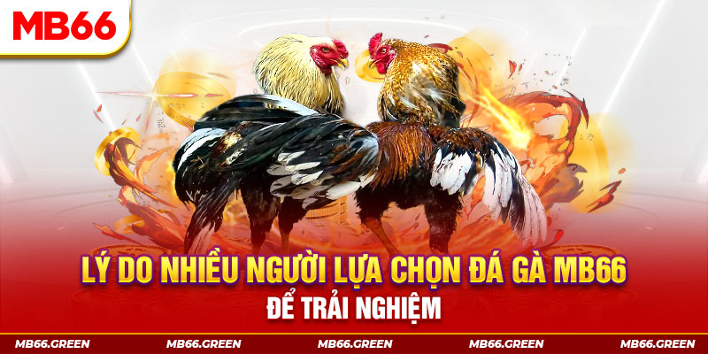 79win xổ số miền bắc thứ bảy hàng tuần