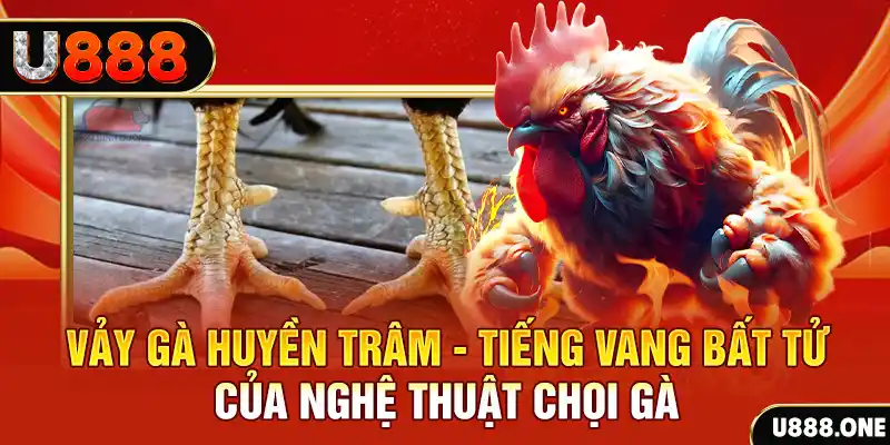79win xổ số miền bắc ngày hôm nay
