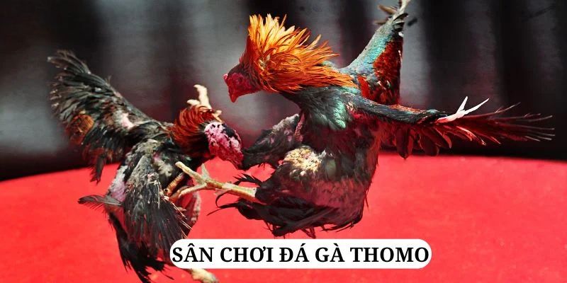 79win trực tiếp xổ số miền bắc
